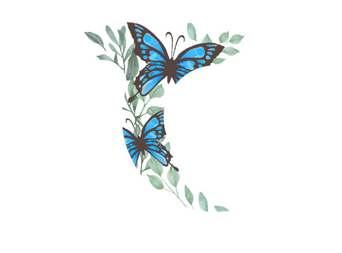 F.LANCOBRAN CASSINI  TOK3,1 28"/18"_3dizajn VISITOR 3892469- 2026